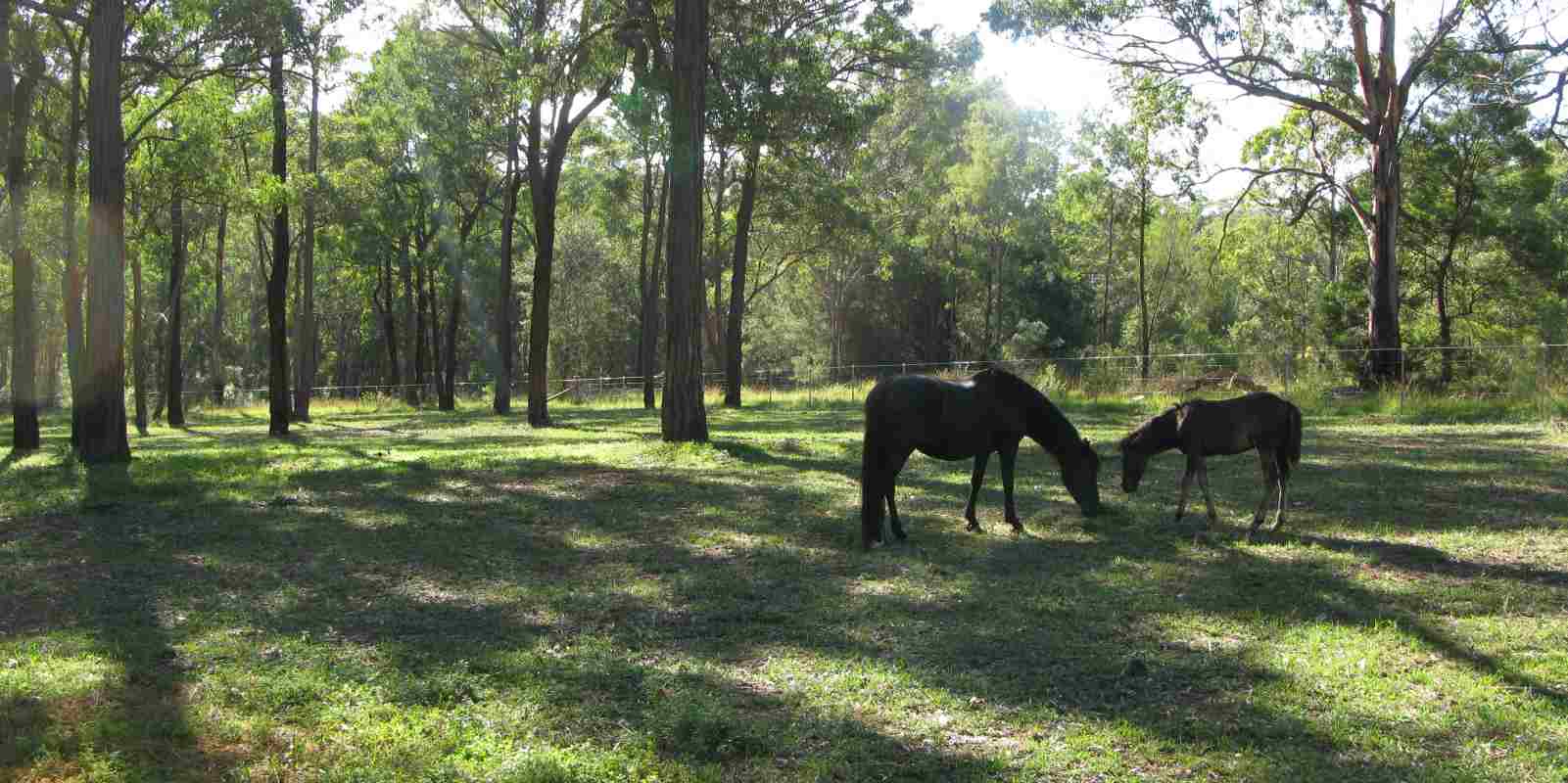 photo1